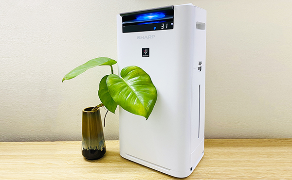 Máy Lọc Không Khí Nội Địa Nhật Loại Nào Tốt Nhất?