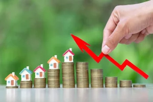 Khám Phá Bí Quyết Làm Giàu Từ Kiến Thức Đầu Tư Cho Những Người Mới