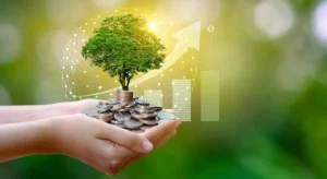 Tự Do Tài Chính - Kiếm Tiền Bằng Hình Ảnh